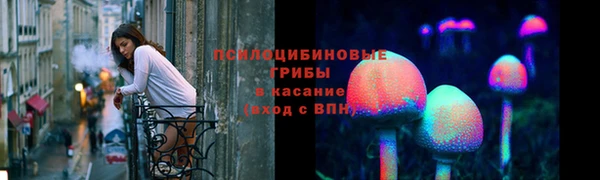 apvp Алексеевка