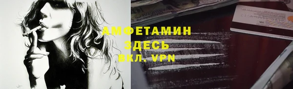 крисы Алзамай