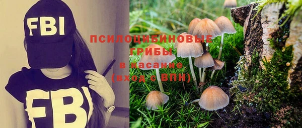 apvp Алексеевка