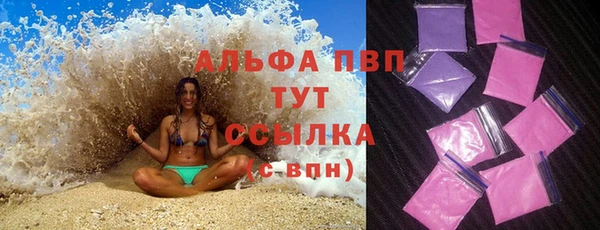 крисы Алзамай